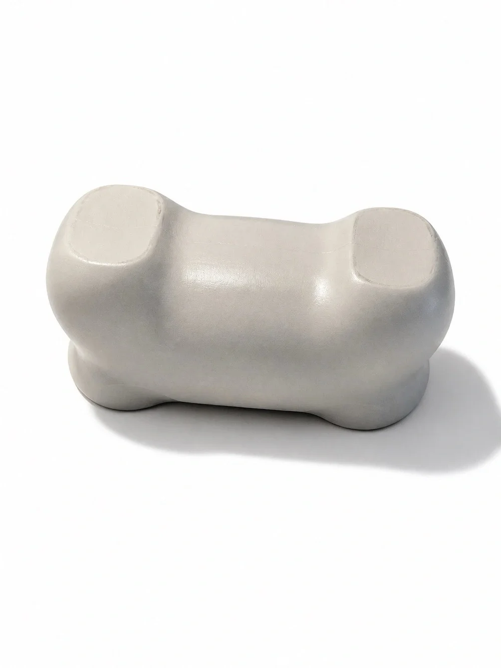 Pet Zone XL Dog Bone Storage Food/Toy Box